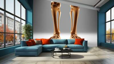 Understanding the Human Skeleton Lower Limb Anatomy and Joint Health Insights Wall mural