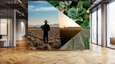 Visual Contrast of Climate Action Showcasing Farmer Silhouette with Nature Preservation and Barren Lands Wall mural