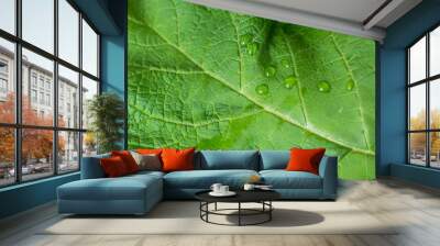 green leaf with water drops background Wall mural