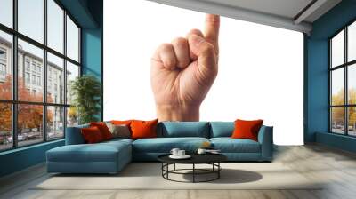 Adult male hand showing one finger up gesture isolated on white Wall mural