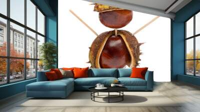 Autumn - Cute little Chestnut Man - Isolated on White Wall mural