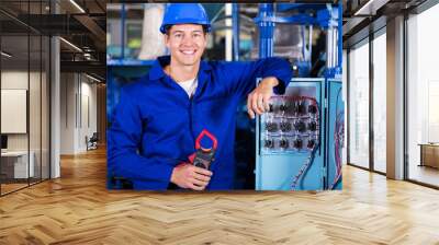 industrial electrician with insulation tester Wall mural