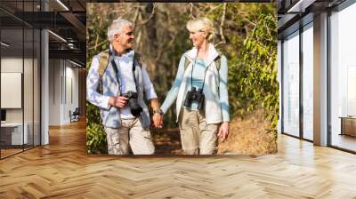 mature couple hiking in mountain Wall mural