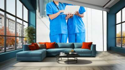 two female healthcare workers using laptop Wall mural