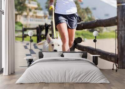 woman jogging with her dog Wall mural