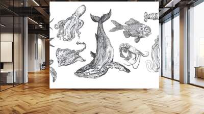 Handdrawn sea animals illustrations pack, fish drawings, artwork, sushi, fish, design, sea animal Wall mural