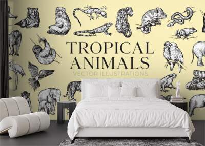 Handdrawn tropical animals illustrations, jungle animals drawing, jungle, tropic, collection, set Wall mural