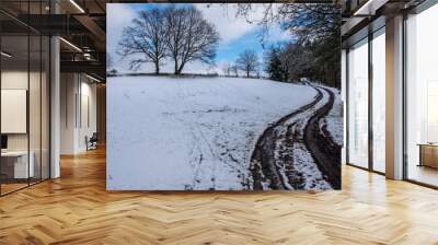 Matschweg bei Schnee  Wall mural