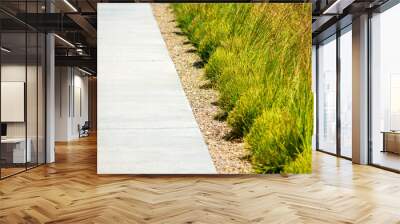 Concrete sidewalk, gravel and green drought tolerant ornamental grass planted in rows under bright sun. Selective focus Wall mural