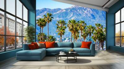 Row of Mexican fan palm trees. Background upscale residential neighborhood on slopes of Santa Ynez Mountains range in Santa Barbara, California Wall mural