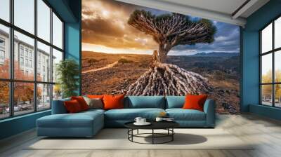 Endemic Dragon tree of Socotra Island on Yemen Wall mural