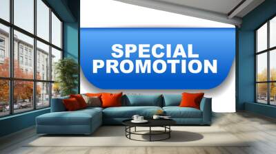 blue vector banner special promotion Wall mural