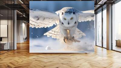 Snowy owl flying over winter land. Wall mural