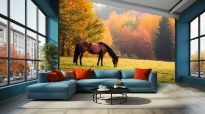 A horse grazing on an autumn meadow with trees Wall mural