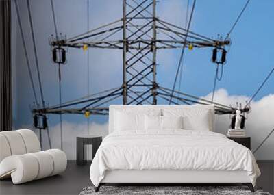 High voltage power line pass-through pole. Wall mural