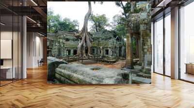 Angkor wat temple, ta prohm,archaeologic park,Cambodia Wall mural