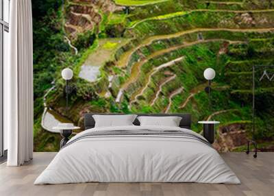 rice field terrace in the area of banaue,in Philippines  Wall mural