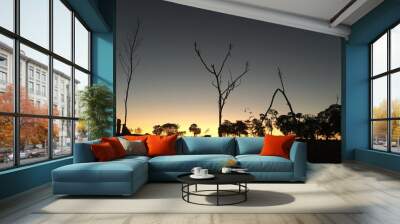 sunset Wall mural