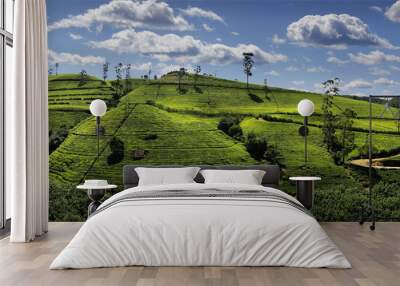 view of hill in the area of Nuwara Eliya.,sri Lanka Wall mural