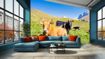 Encounter with some cows on the pasture meadows Wall mural