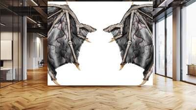 Bloody dragon wings, isolated on white background. Close up. Wall mural