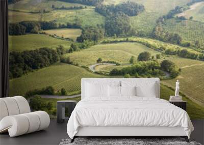 aerial view of countryside bends vineyards hills and trees in oltrepo pavese Wall mural