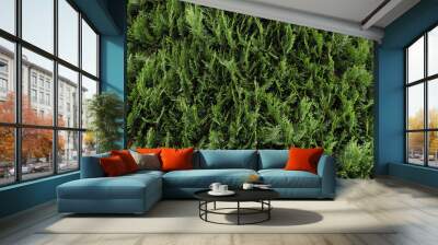 green texture background grass nature Wall mural