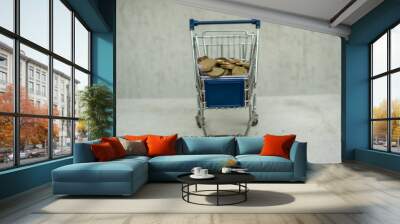 shopping cart banner blank advertisement full of euro money coins Wall mural