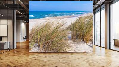 Beautiful sand beach with dry and green grass, reeds, stalks blowing in the wind, blue sea with waves on the Baltic Sea in Nida, Neringa, Lithuania Wall mural