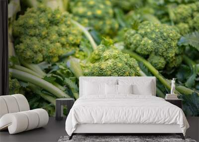 Cime di rapa, rapini or broccoli rabe in a street food market, green cruciferous vegetable, veggies, mediterranean cuisine, Puglia, Italy Wall mural