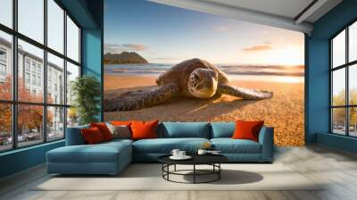 hawaiian green sea turtle covered in sand Wall mural