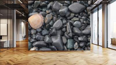 Single half cockle shell surrounded by smooth black basalt stones; copy space Wall mural