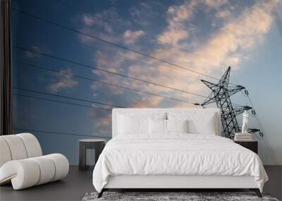 A long line of electrical transmission towers (electricity pylon Wall mural