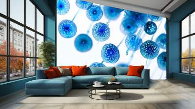 Bioluminescent Algae Revealed: A Vibrant Dance of Blue Life Under the Microscope Wall mural