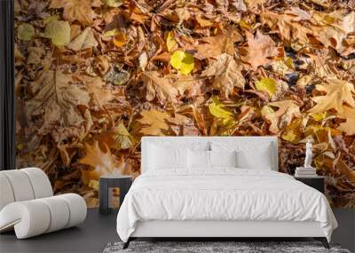 On the ground lying golden autumn leaves on the roadside. Wall mural