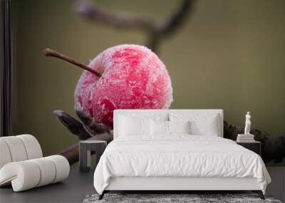 Frozen red apple on a naked branch during cold winter day. Wall mural