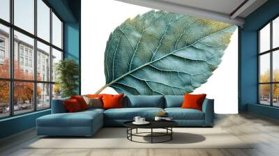 a close-up of a leaf

 Wall mural