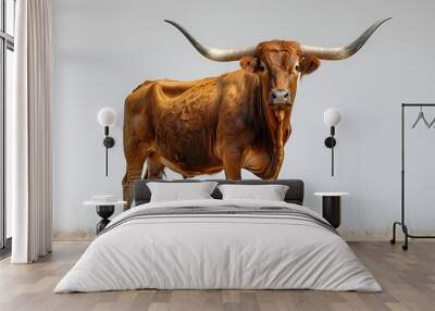 a longhorn with horns standing in a field. Wall mural