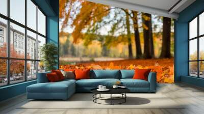 Beautiful autumn landscape with. Colorful foliage in the park. Falling leaves natural background Wall mural