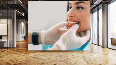 Dentist with beautiful female patient Wall mural