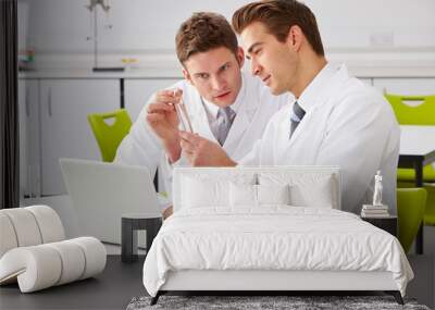 Two Male Technicians Working In Laboratory Wall mural