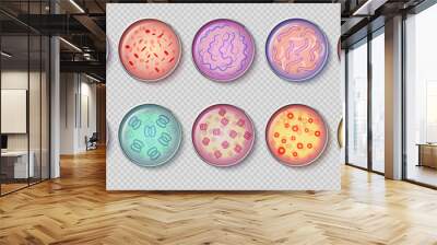 Bacteriology gram negative bacteria culture and penicillin moss in petri dish glassware, top view. Vector set Wall mural