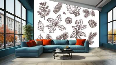 christmas plants. sketch fir branches, pine cones and holly leaves with berries. christmas winter bo Wall mural