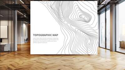 Geodesy contouring land. Topographical line map. Geographic mountain contours vector background Wall mural