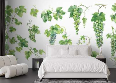 Grapevine set. Isolated grapevines with white green bunches of grapes. Watercolor style grape, wine industry. Raw food ingredients vector elements Wall mural