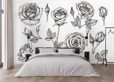 Hand drawn roses. Sketch rose flowers with thorns and leaves. Black and white vintage etching vector botanical isolated set. Illustration of rose petal, sketch botany floral plant Wall mural