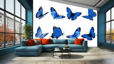 Realistic blue butterflies. Flying butterfly, isolated bright insects collection. Decorative spring summer forest and garden wild animals vector set Wall mural