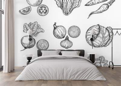 Sketch vegetables. Fresh tomato, cucumber and carrots, potatoes. Hand drawn onions, radish and cabbage. Garden vegetable vector set of tomato and potato, organic fresh food illustration Wall mural