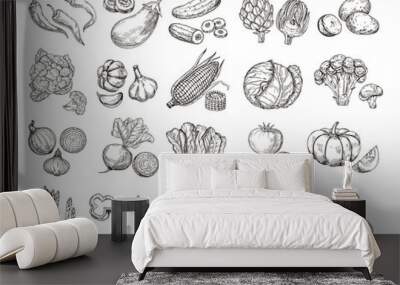 sketch vegetables. vintage hand drawn garden vegetable collection. carrots broccoli potato salad mus Wall mural