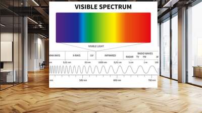 Visible light diagram. Color electromagnetic spectrum, light wave frequency. Educational school physics vector background. Illustration of spectrum diagram rainbow, infrared and electromagnetic Wall mural